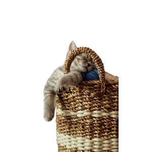 Cute Gray Kitten Sleeping In A Cozy Woven Basket Indoors, Capturing A Sense Of Comfort And Relaxation. 19211 - Cat PNG image with transparent background